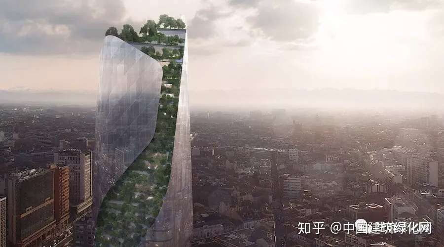 一栋40层高的大厦对绿植深深的执念 知乎