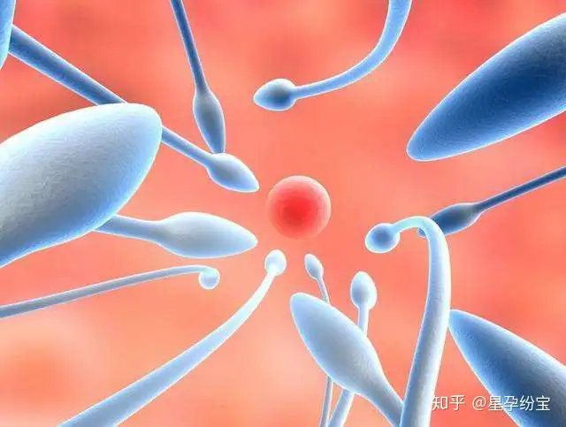 上海海外试管婴儿（讲解人工助孕有哪些方法）