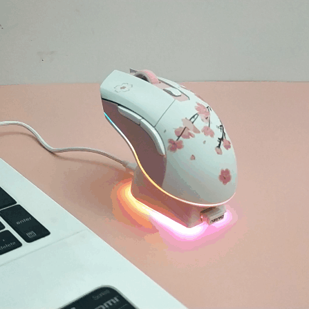 达尔优EM901双模轻量化鼠标:轻量化设计,握感更舒适