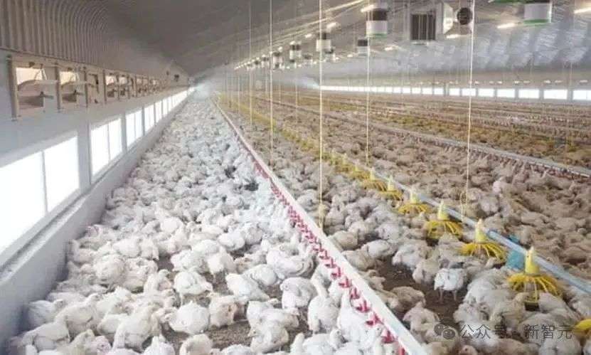 AI破解宠物心声，读懂你的猫狗？全球首个AI与动物感知中心揭秘