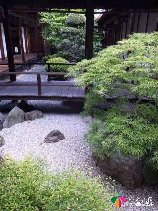 庭院设计植物可不能乱搭配 快来瞧瞧不同庭院风格怎么搭配植物 知乎