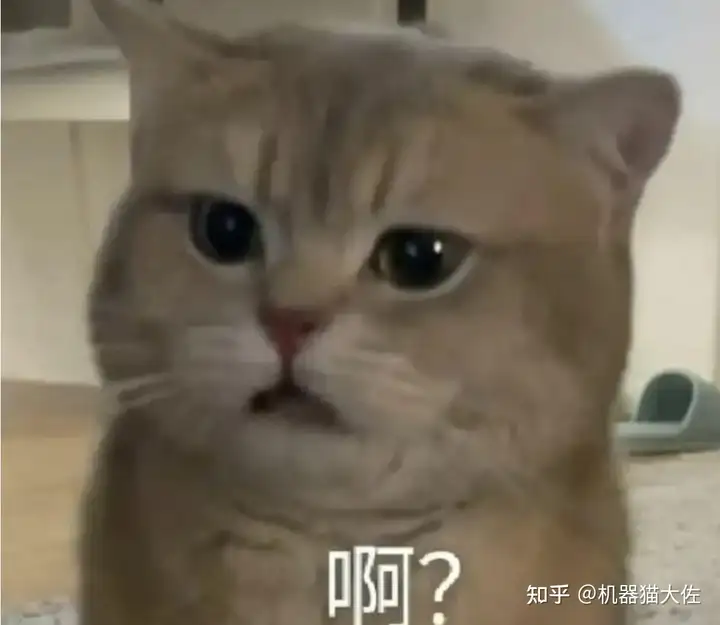 为什么没人质疑哥伦布发现新大陆？