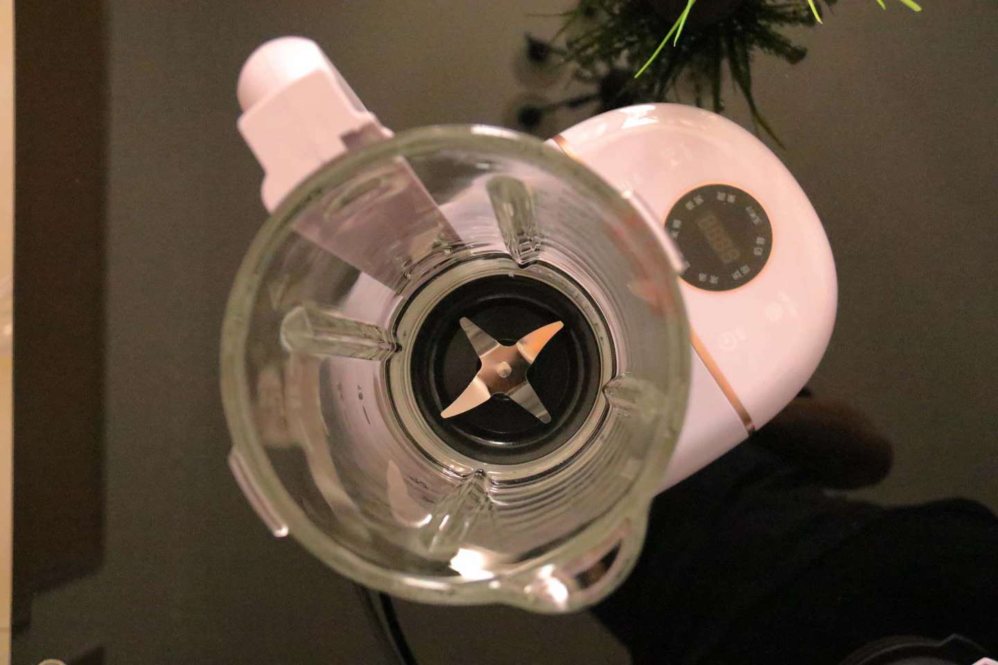 口感细腻，营养美味，七彩叮当破壁机体验