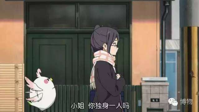 鸟鸟不鸟你全看你的努力 知乎