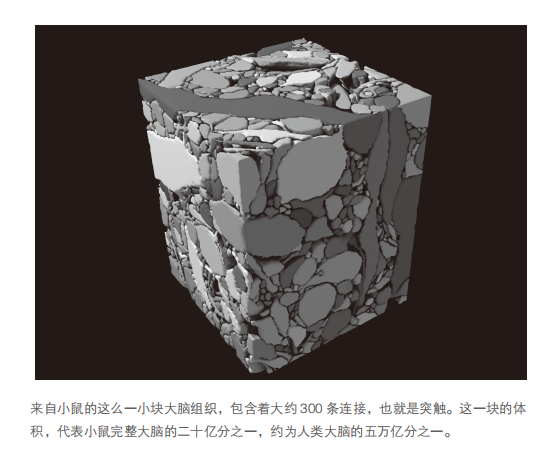 万字追问：人类需要AI，还是更需要自身AI化？