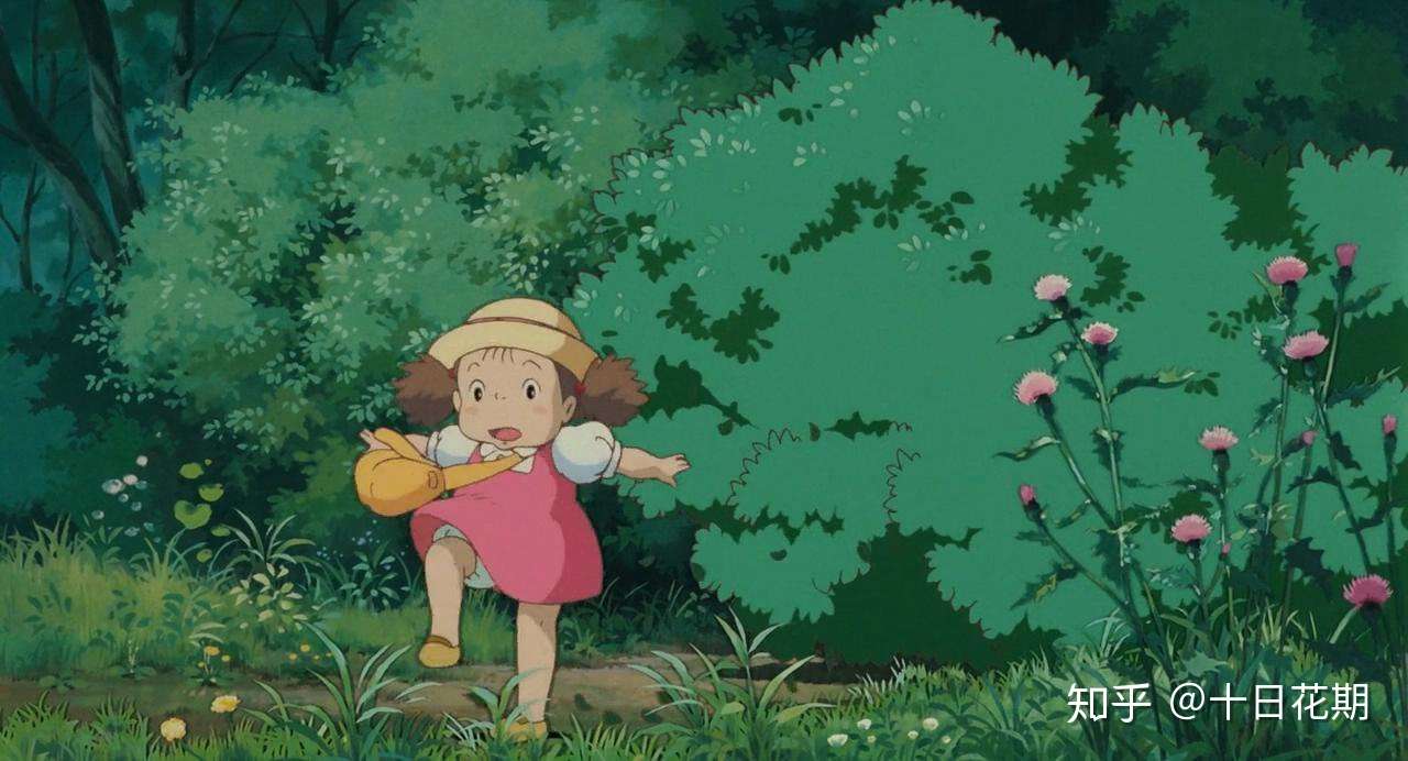 听说 龙猫 终于要在中国院线公映了 一起去更大的荧幕寻宝花草吧 知乎