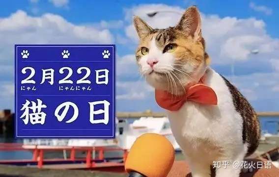 日本的猫文化 日本人为何痴迷爱猫 带你走进神秘的日本猫世界 知乎