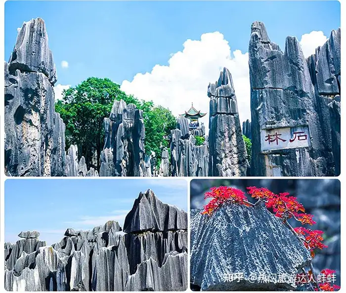 到云南旅游一般要大概多少钱，六天五晚花费多少！防踩坑攻略！