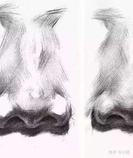 全面解析素描五官绘画方法 鼻子篇 第7期 小团 知乎
