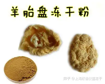 羊胎盤凍乾粉冷凍乾燥機的應用工藝和原理知識