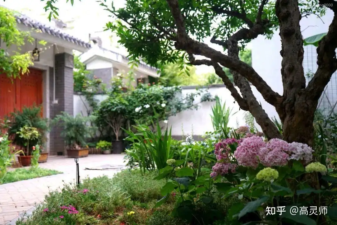 家庭养花注意事项 知乎 家庭养花注意事项 知乎