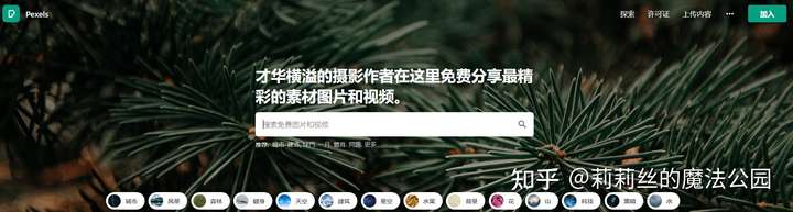 8个免费、高清、无版权视频素材下载网站推荐_知乎_
