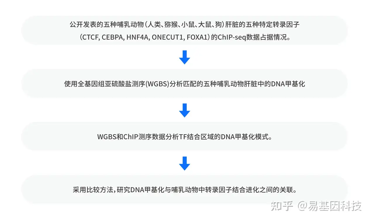 易基因：表观基因组分析揭示转录因子结合区DNA甲基化表征其功能和进化背景 | 研究速递