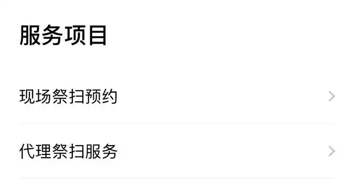 这个清明节，人们学会了网上扫墓