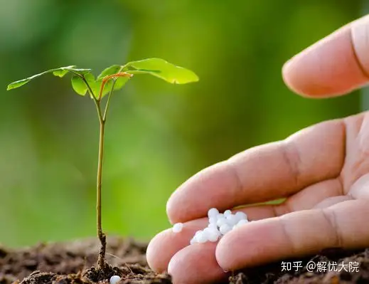 台风天气，液氨价格弱势走低 【化肥价格】