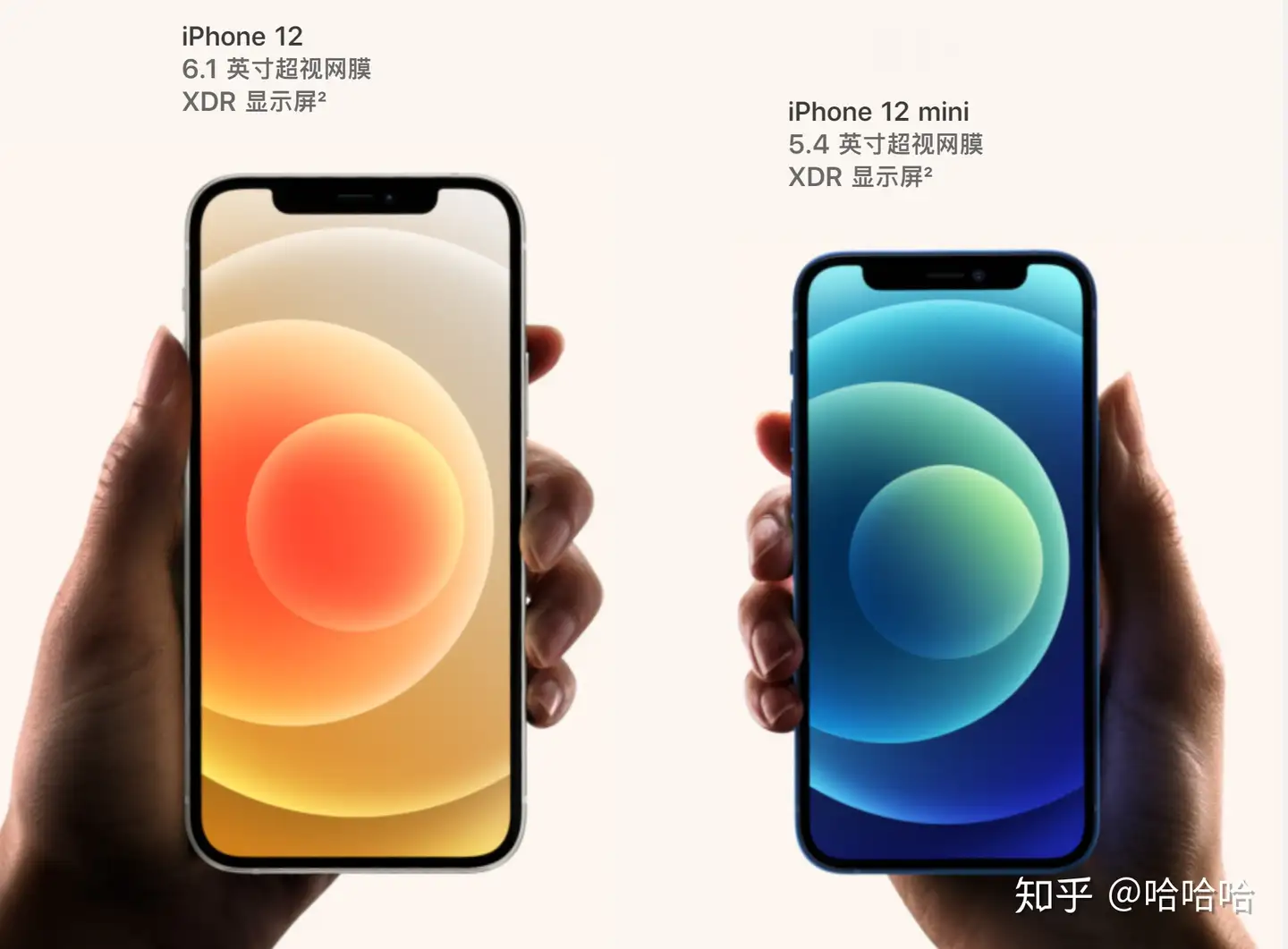 哈哈哈】Apple全产品线超详细解析- 知乎