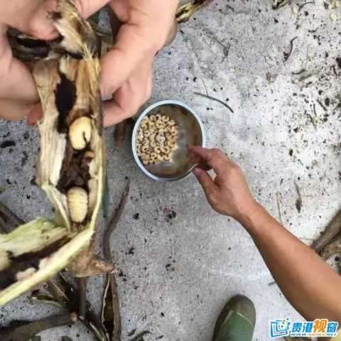 Сʱ���ҳ���һ��һ����ɽ��ר���ҳ����ĸ��٣��Ѵ����ĸ��ٸ���������ȥ Ȼ�������ĳ��Ӱ�����