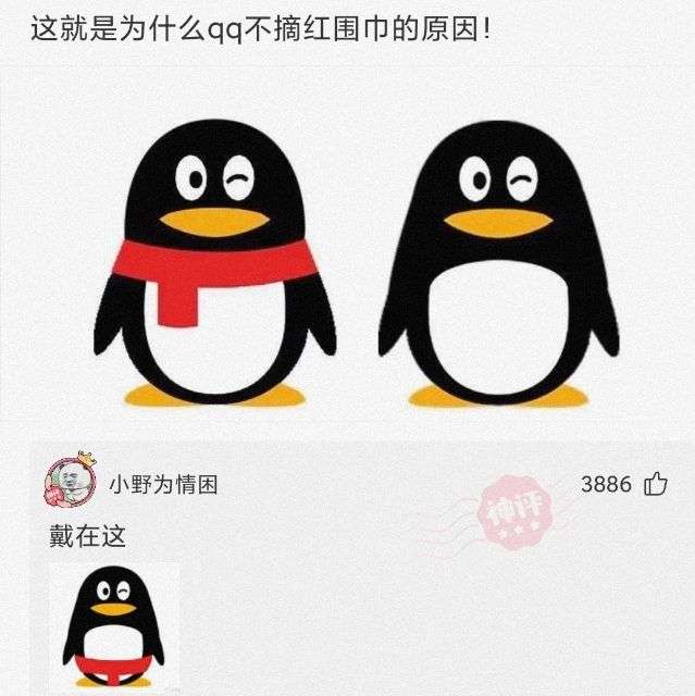 有哪些搞笑的段子或者笑话? - 知乎