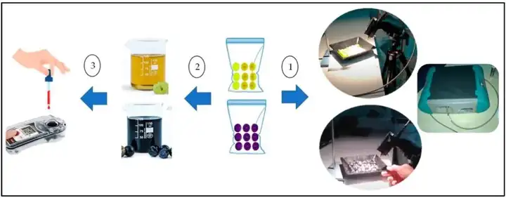 ASD | 利用新鮮葡萄漿果的反射光譜測量估算葡萄漿果中的可溶性固形物總含量