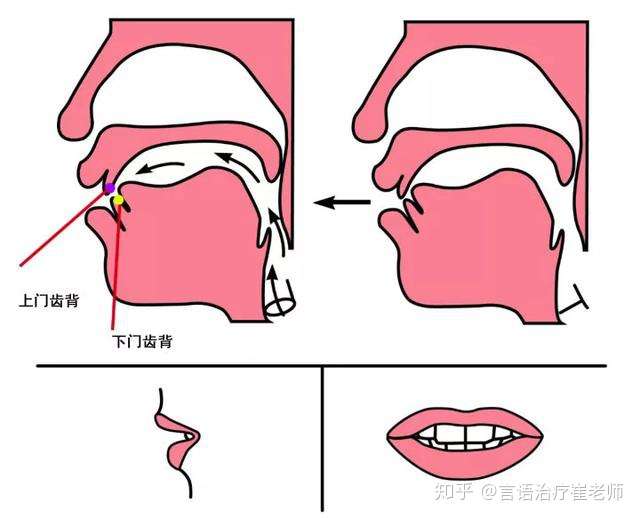 发音 孩子平翘舌发音不清晰 该如何改善 知乎