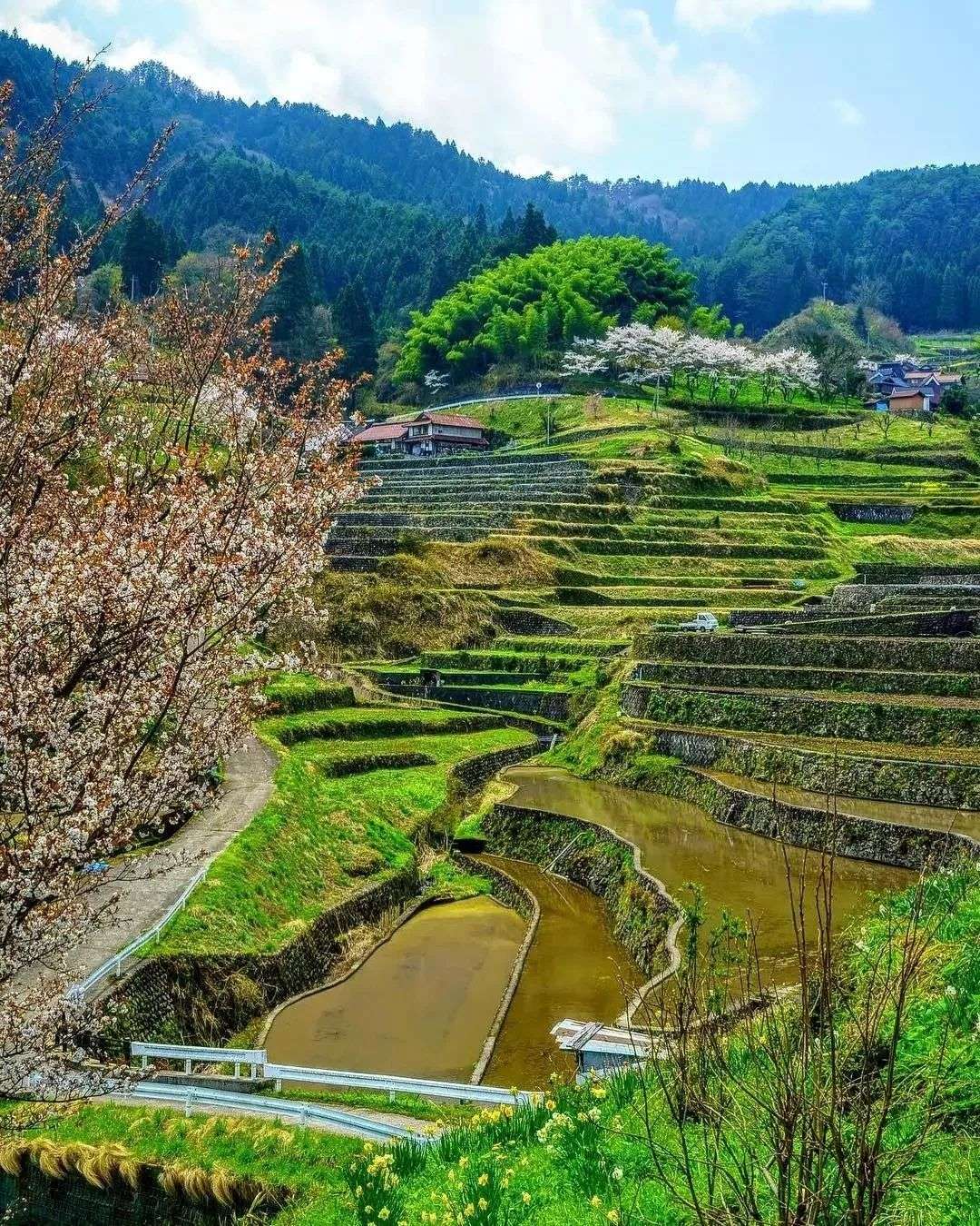 美国cnn评选的31处日本最美景 快来看看你去过几个 知乎