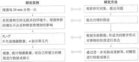 教材精读 种群数量的变化 知乎