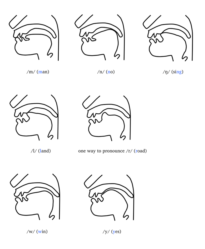 请问哪里可以找到李笑来老师以前分享的英语音标舌位图?