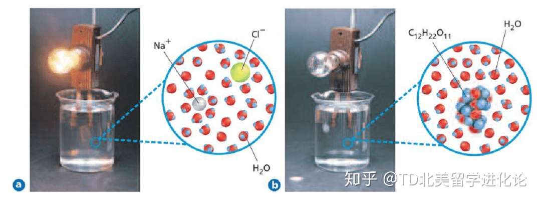 Sat2化学考试中6个最易被忽略的常考知识点 点开你就赚到了 知乎 Sat2化学考试中6个最易被忽略的常考知识点 点开你就赚到了 知乎