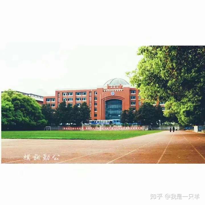 外省人为上学去衡水买房安家,或去长沙雅礼 长郡买房?