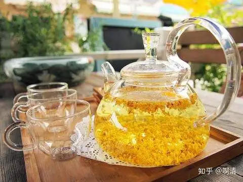 桂花茶泡法 桂花茶不适合什么样的人喝 知乎