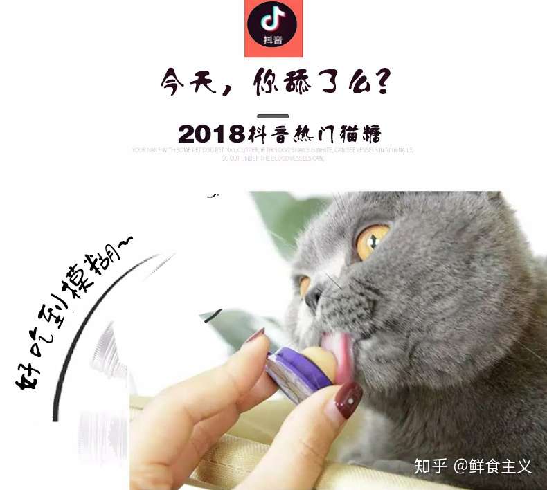 猫咪夏天不爱吃饭 怎么办 知乎