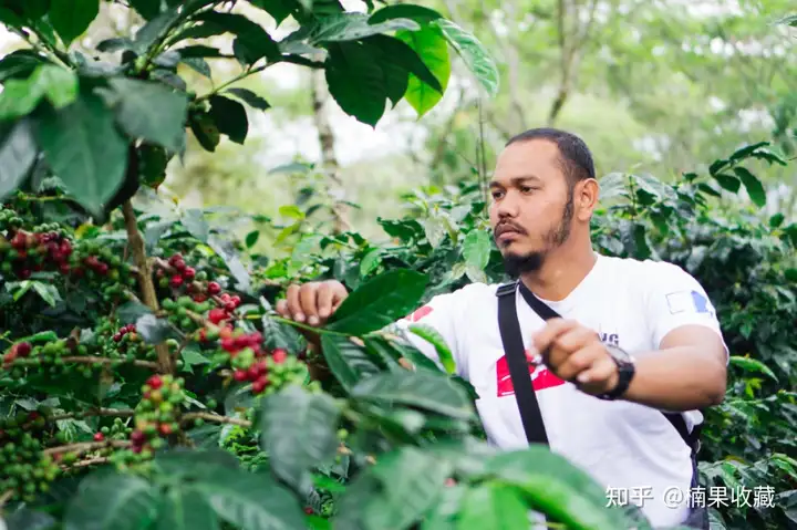 把高高在上的战略思维落地后,我8年时间把咖啡业务做到了十倍增长