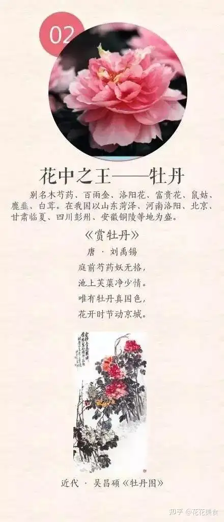 腾讯收录于官方网站邮箱（【中国五大茶花系列产品】花中之王——梅花）快上看，