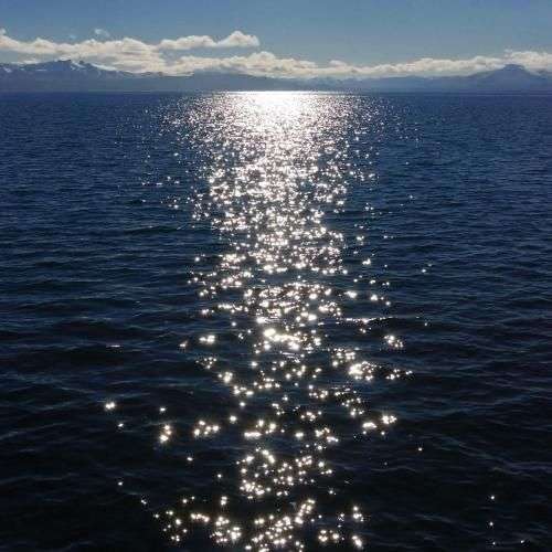 头像特别喜欢但是找不到出处了2121是个波光粼粼的湖面希望有大佬