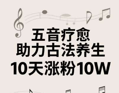 图片[1]-2025古法五音养生疗愈的视频制作教程【10天涨粉10W】2-4小时就能学会-暗冰资源网