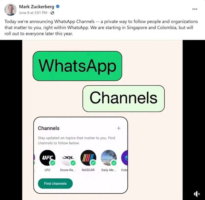 WhatsApp Channels发布