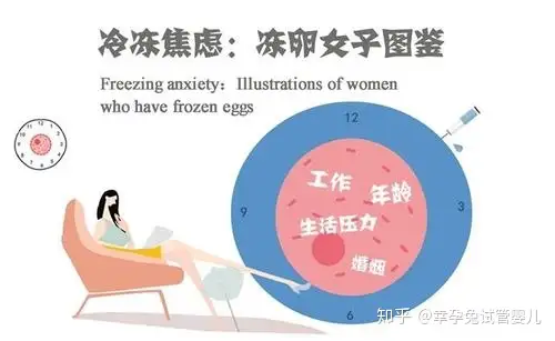 试管供卵会不会排异（幸孕兔试管婴儿 赴美冻卵 推出鸡尾酒套餐）