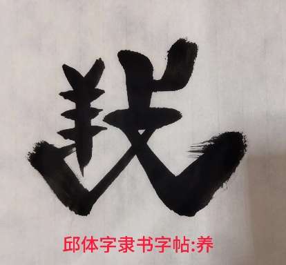 神奇的天珠邱承彬 的想法: 邱体字隶书字帖:养