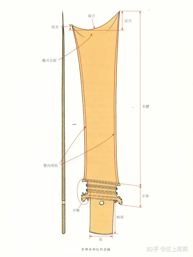 トップ 『臨く（月＋句）西朱封 山東龍山文化墓葬的発掘与研究』（中国