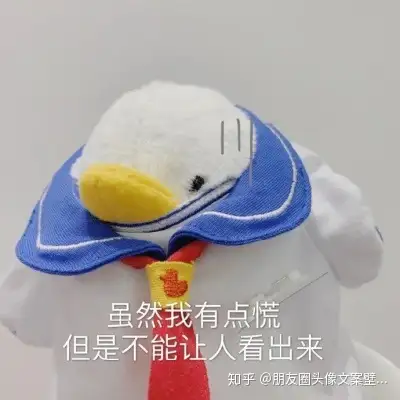 有哪些又丧又温柔的文艺朋友圈句子文案语录？