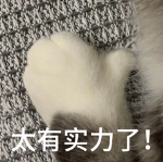 一个火爆外网的AI模型，吊打sd、flux？！