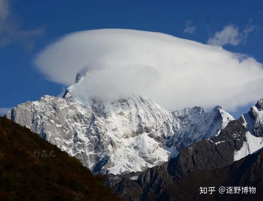 5月22日 是全世界生物们的节日 知乎