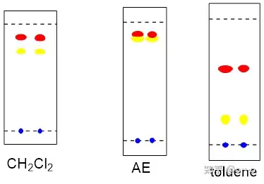薄层层析结果图图片