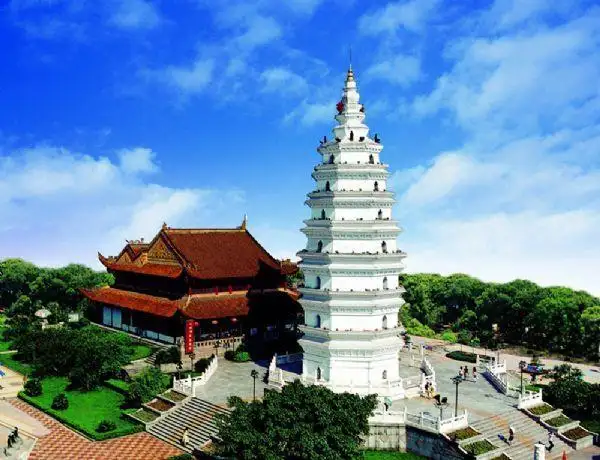 它是中国酒城，很多人却因为它爱上这座城市