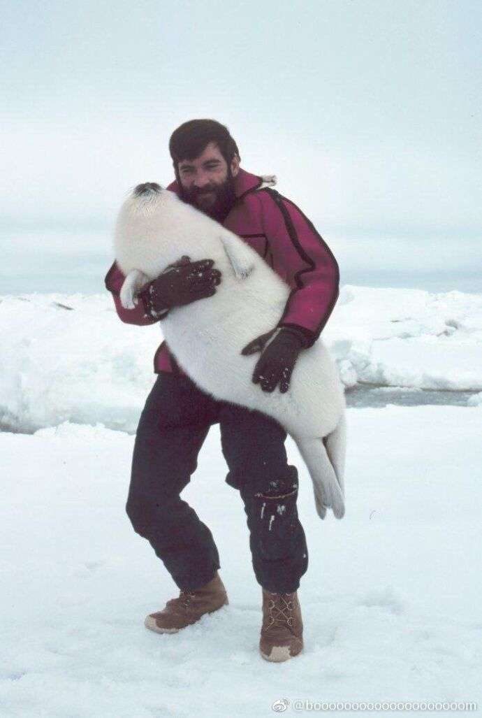 小海豹抱起来是什么感觉