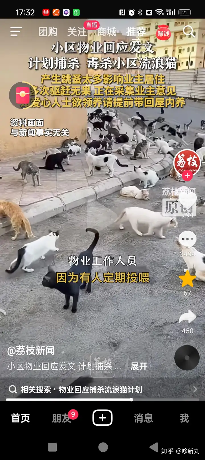为什么喂流浪猫会被很多人骂？ - 知乎