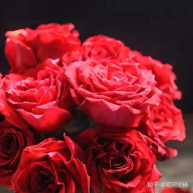 花间密码 这些鲜花背后 藏着传奇的神话 知乎