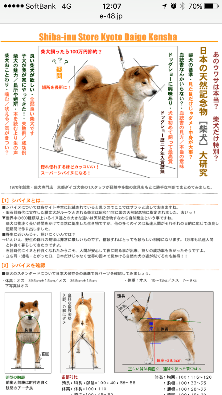 狗狗是否是真柴犬?