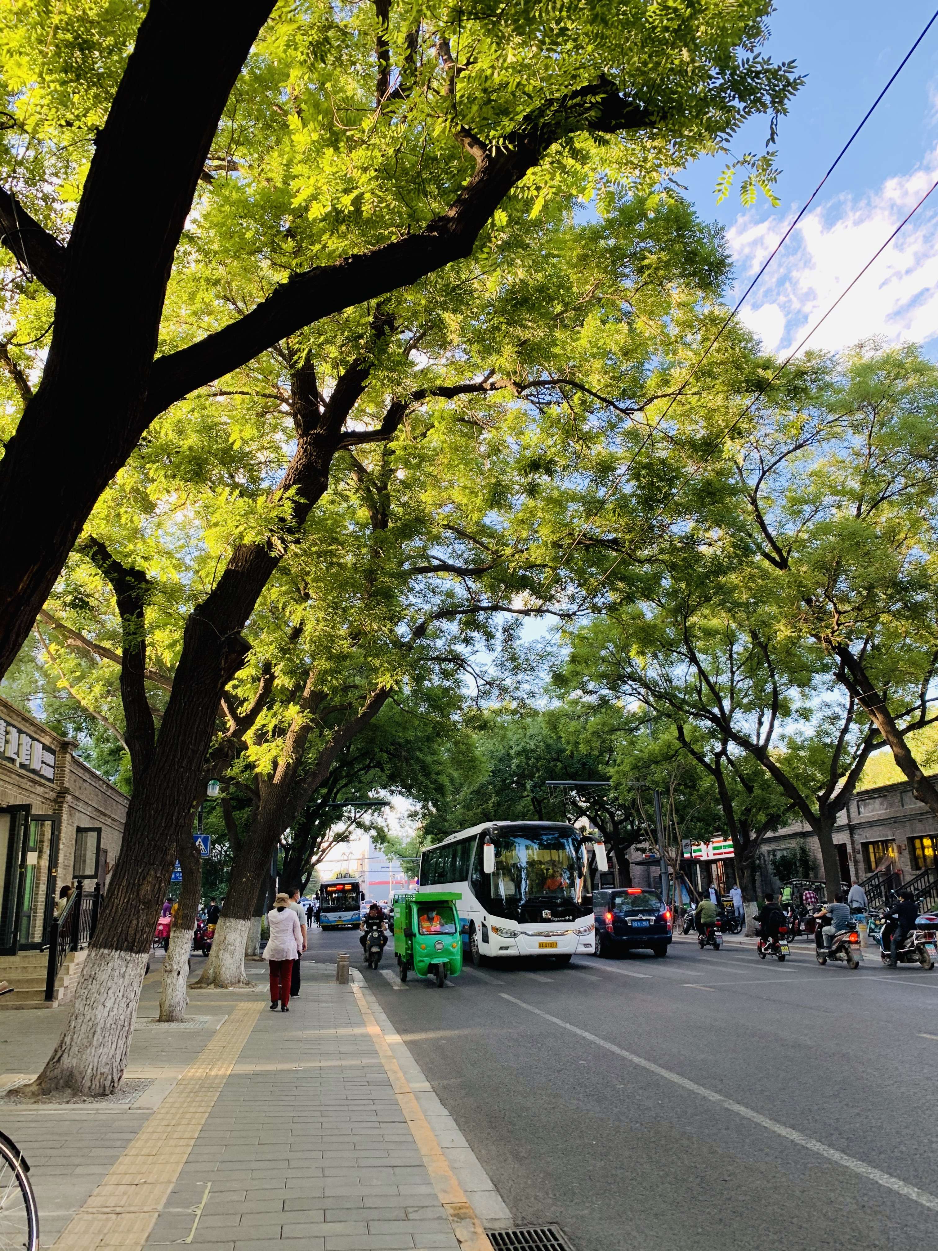 治愈生活蓝皮叔 的想法: 漂亮的北京街景~东四北大街!