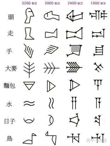 古埃及象形文字 苏美尔文 阿拉伯数字 汉字的演变 龟背上的甲骨文 与
